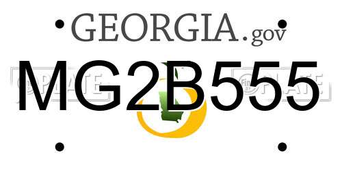 MG2B555 Georgia License Plate