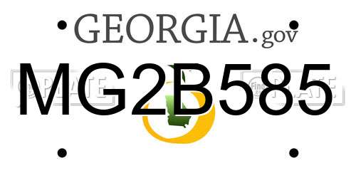 MG2B585 Georgia License Plate