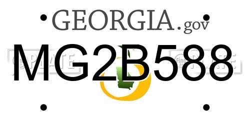MG2B588 Georgia License Plate