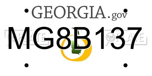 MG8B137 Georgia License Plate
