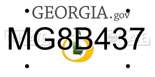 MG8B437 Georgia License Plate