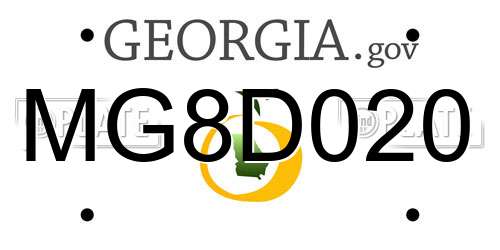 MG8D020 Georgia License Plate