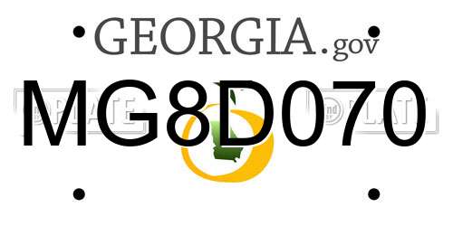 MG8D070 Georgia License Plate