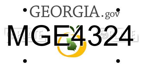 MGE4324 Georgia License Plate