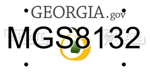 MGS8132 Georgia License Plate