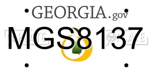 MGS8137 Georgia License Plate