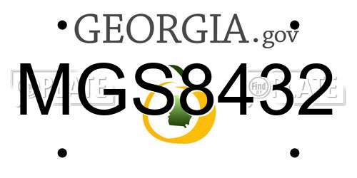 MGS8432 Georgia License Plate