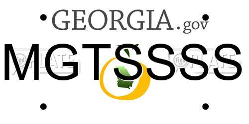 MGTSSSS Georgia License Plate