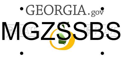 MGZSSBS Georgia License Plate