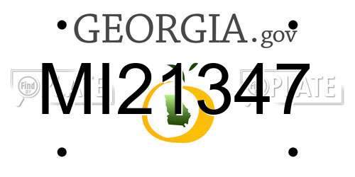 MI21347 Georgia License Plate