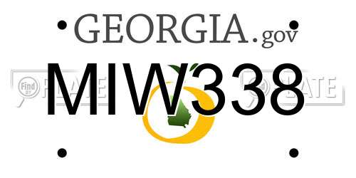 MIW338 Georgia License Plate