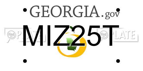 MIZ25T Georgia License Plate