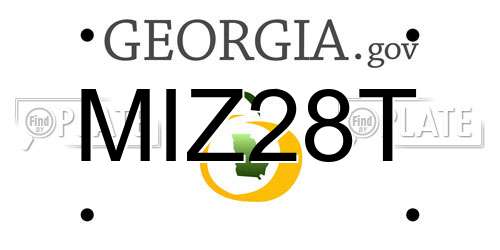 MIZ28T Georgia License Plate
