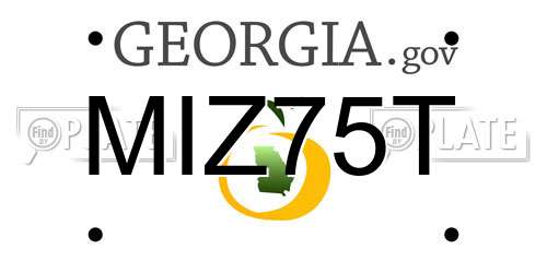 MIZ75T Georgia License Plate