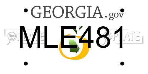 MLE481 Georgia License Plate