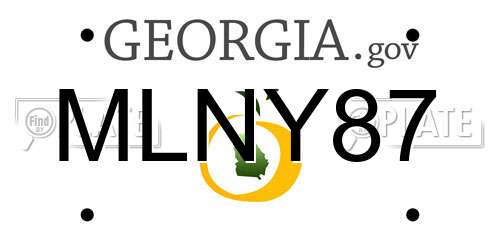 MLNY87 Georgia License Plate