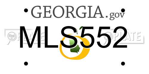 MLS552 Georgia License Plate