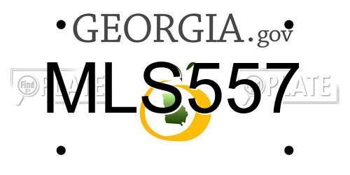 MLS557 Georgia License Plate