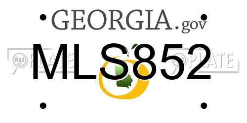 MLS852 Georgia License Plate