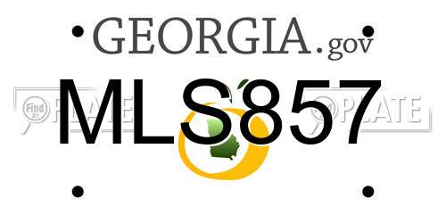 MLS857 Georgia License Plate