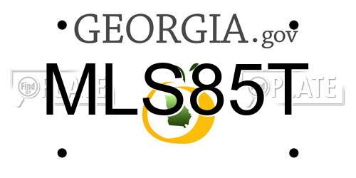 MLS85T Georgia License Plate