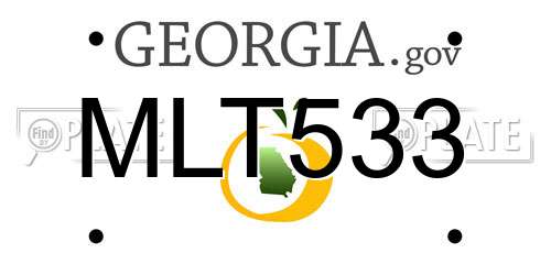 MLT533 Georgia License Plate