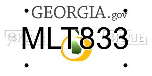 MLT833 Georgia License Plate