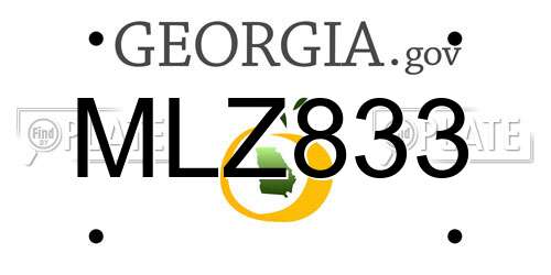 MLZ833 Georgia License Plate