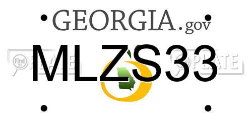 MLZS33 Georgia License Plate