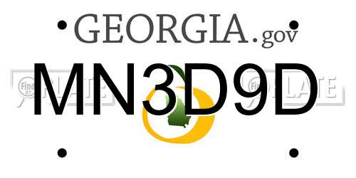 MN3D9D Georgia License Plate