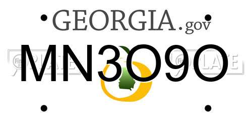 MN3O9O Georgia License Plate