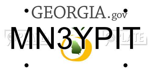 MN3YPIT Georgia License Plate