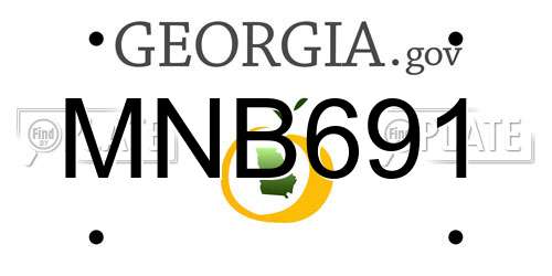 MNB691 Georgia License Plate