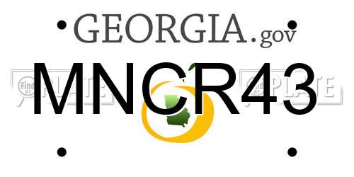 MNCR43 Georgia License Plate