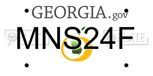 MNS24F Georgia License Plate