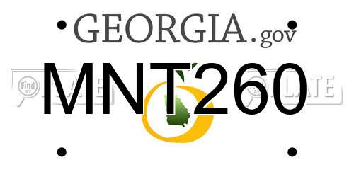 MNT260 Georgia License Plate