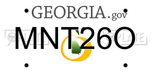 MNT26O Georgia License Plate