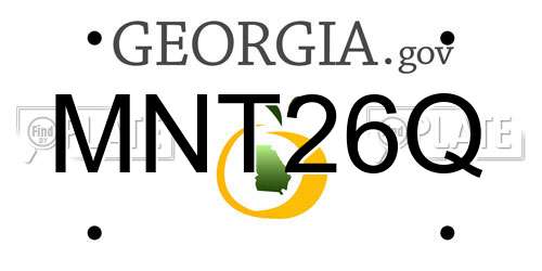 MNT26Q Georgia License Plate