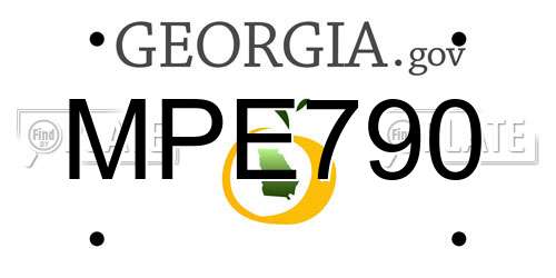 MPE790 Georgia License Plate
