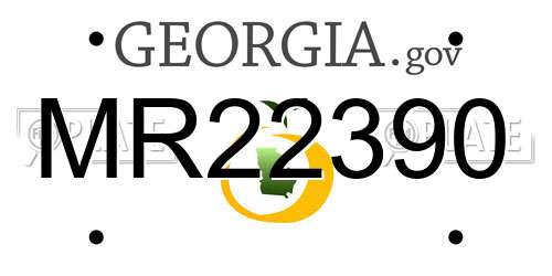 MR22390 Georgia License Plate