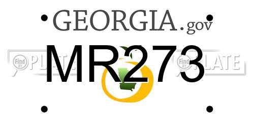 MR273 Georgia License Plate