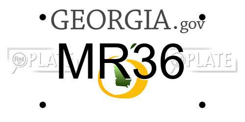 MR36 Georgia License Plate