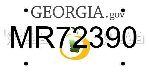 MR72390 Georgia License Plate