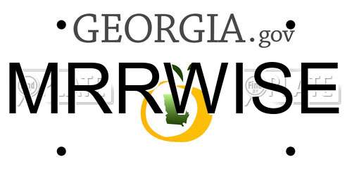 MRRWISE Georgia License Plate