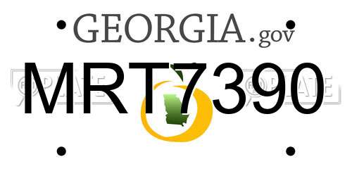 MRT7390 Georgia License Plate