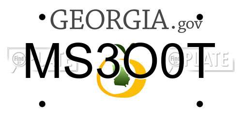 MS3O0T Georgia License Plate