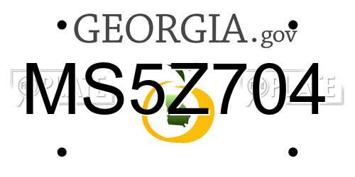 MS5Z704 Georgia License Plate