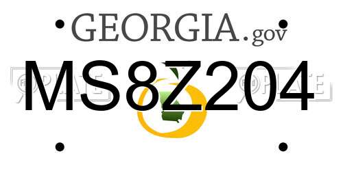 MS8Z204 Georgia License Plate