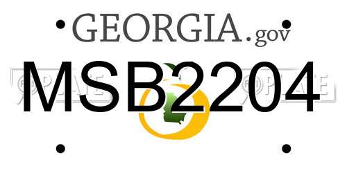 MSB2204 Georgia License Plate