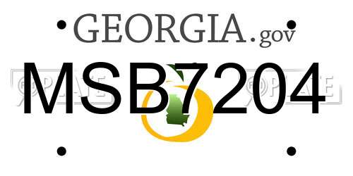 MSB7204 Georgia License Plate
